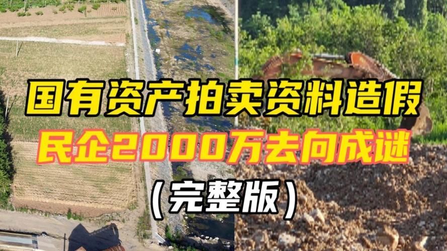能否提供國有資產拍賣的實例，國有資產拍賣實例