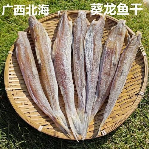 北海葵龍魚的價格是多少？，北海葵龍魚的價格是多少