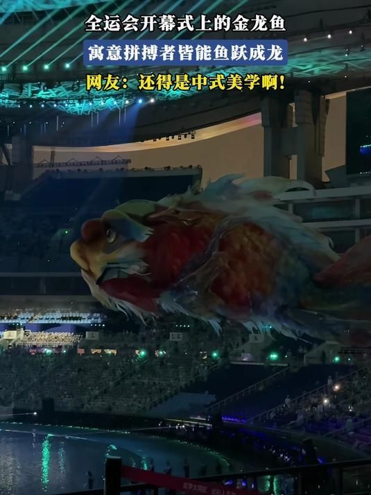 長壽花和金龍魚哪個更有寓意？