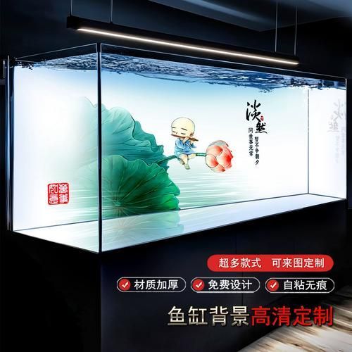如何預防龍魚眼睛白膜破裂，如何預防龍魚眼睛白膜破裂調用工具arxiv論文助手
