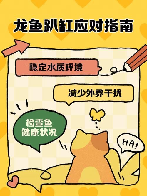有哪些視頻教程可以演示龍魚趴缸恢復方法？，龍魚趴缸恢復教程