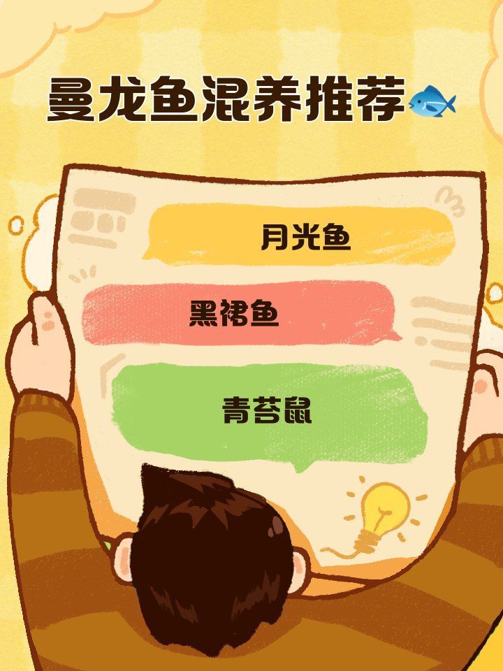 曼龍魚的最佳混養(yǎng)伙伴有哪些，曼龍魚混養(yǎng)指南