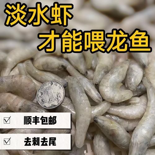 有哪些食物對龍魚真菌病有益