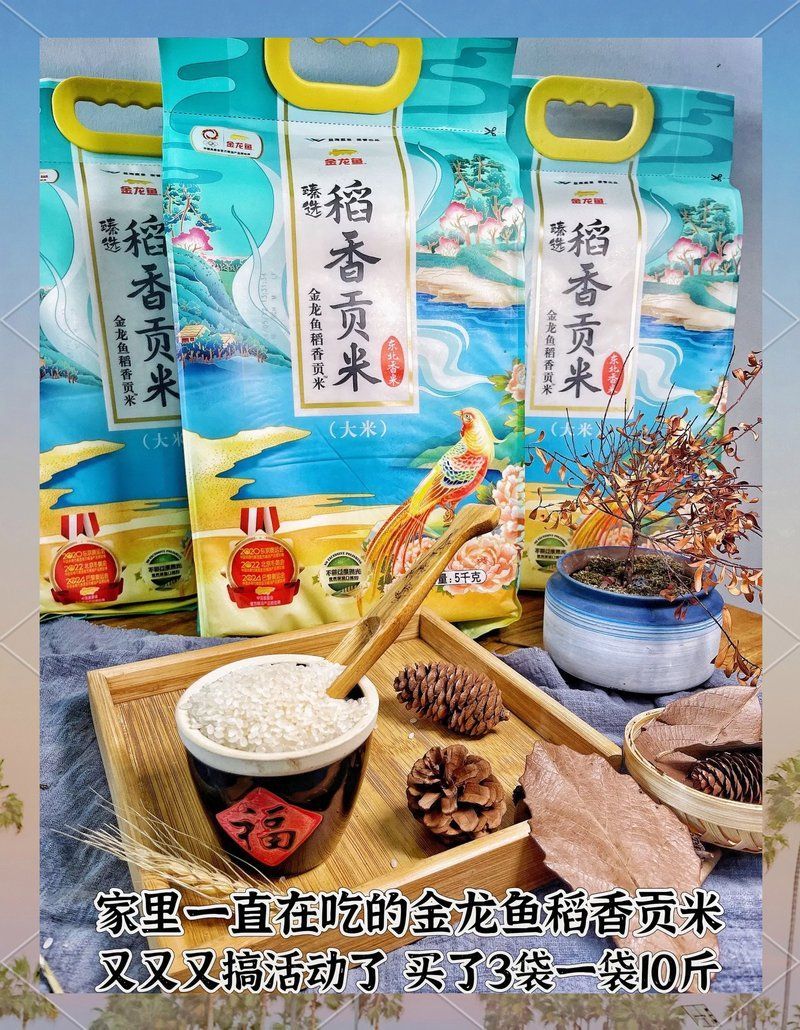 給我推薦幾款類似金龍魚10斤真空大米的產品，金龍魚10斤真空包裝+東北產地+顆粒飽滿