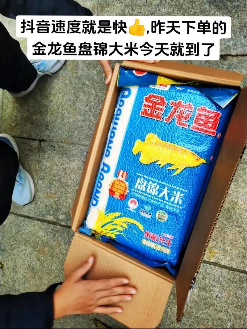 給我推薦幾款類似金龍魚10斤真空大米的產品，金龍魚10斤真空包裝+東北產地+顆粒飽滿