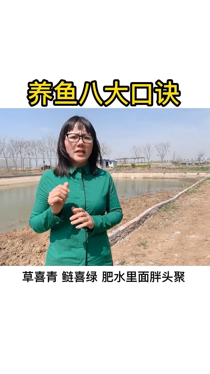 有哪些養魚口訣是通用的，——養魚口訣
