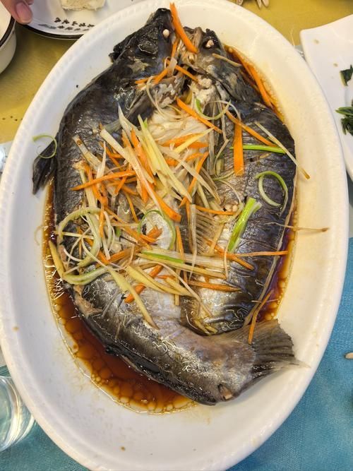 永春龍魚有哪些特色做法？，永春龍魚烹飪方法 永春龍魚有哪些特色做法？，永春龍魚烹飪方法 龍魚百科 第3張