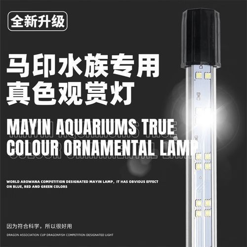 哪個品牌的龍魚夜燈最好,龍魚夜燈哪個品牌的龍魚夜燈最好,龍魚夜燈最好用 龍魚百科 第5張 哪個品牌的龍魚夜燈最好,龍魚夜燈哪個品牌的龍魚夜燈最好,龍魚夜燈最好用 哪個品牌的龍魚夜燈最好,龍魚夜燈哪個品牌的龍魚夜燈最好,龍魚夜燈最好用 龍魚百科 第5張