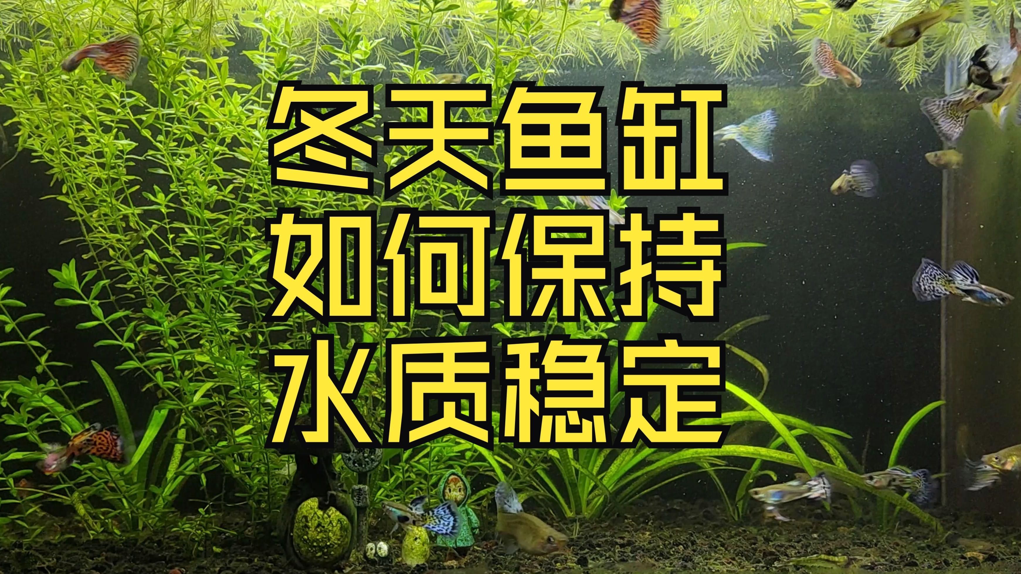 如何維持水質參數的穩定，如何保持水質參數的穩定