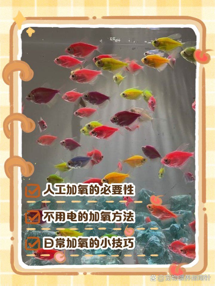 龍魚(yú)嘴巴張合頻率與哪些因素有關(guān)？，龍魚(yú)嘴巴張合頻率的影響因素