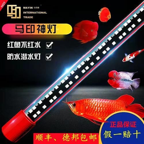 有哪些品牌龍魚(yú)燈光推薦？，龍魚(yú)燈光推薦及牌子