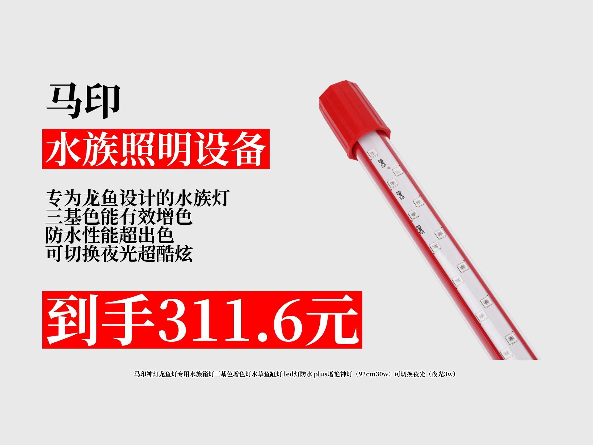 龍魚需要哪些設(shè)備