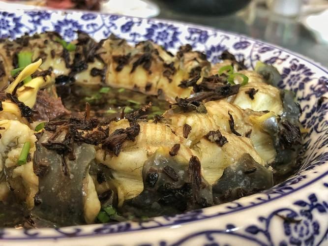 泰寧龍魚有哪些特色美食,泰寧龍魚有哪些特色美食? 龍魚百科 第7張 泰寧龍魚有哪些特色美食,泰寧龍魚有哪些特色美食? 泰寧龍魚有哪些特色美食,泰寧龍魚有哪些特色美食? 龍魚百科 第7張
