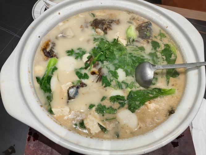 泰寧龍魚有哪些特色美食,泰寧龍魚有哪些特色美食? 龍魚百科 第3張 泰寧龍魚有哪些特色美食,泰寧龍魚有哪些特色美食? 泰寧龍魚有哪些特色美食,泰寧龍魚有哪些特色美食? 龍魚百科 第3張