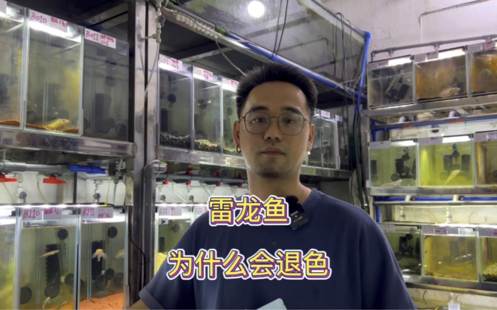 恢復高水位后如何防止龍魚褪色，恢復高水位后如何防止龍魚褪色,高水位后如何防止龍魚褪色