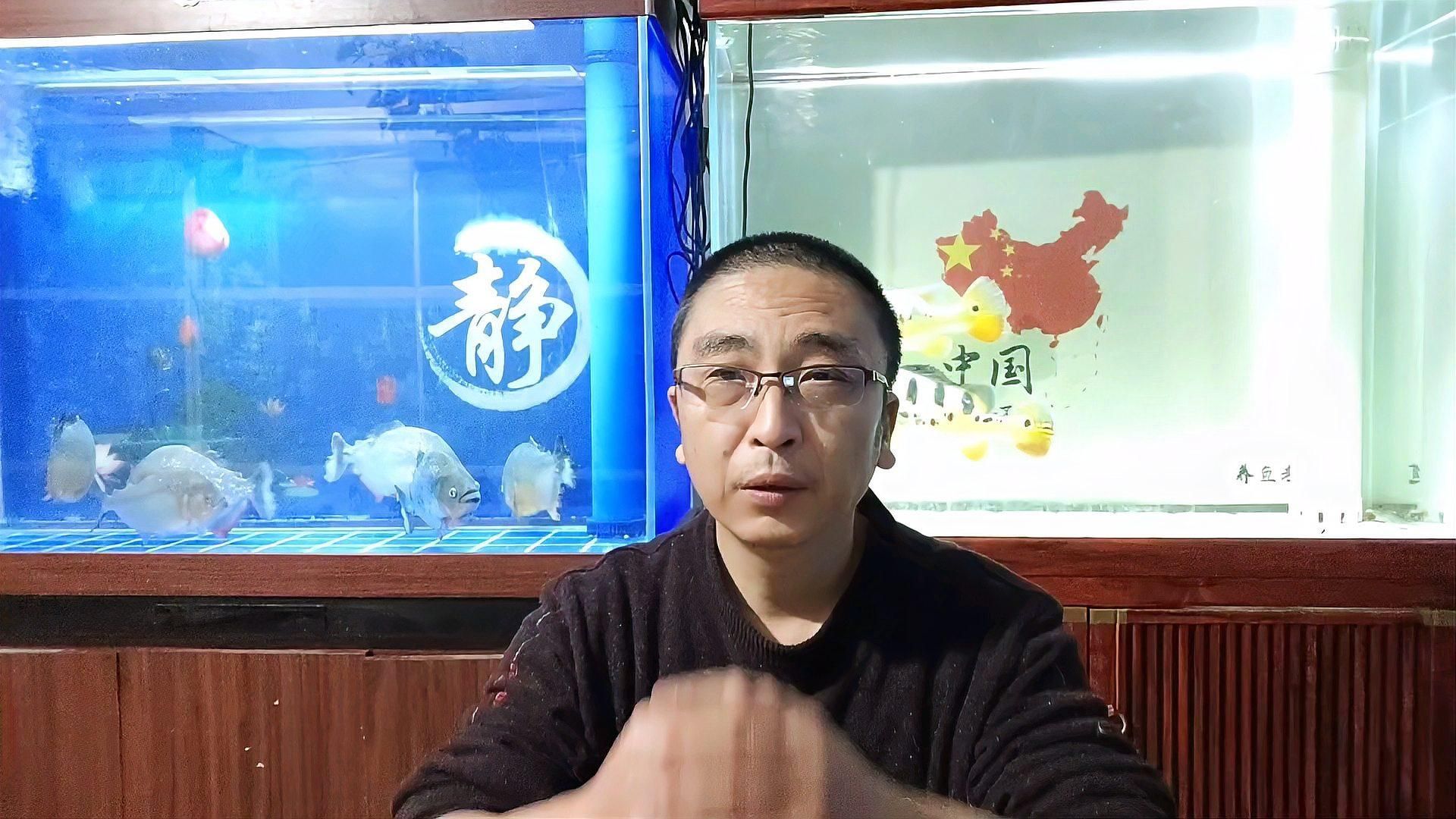 如何增強60升魚缸的過濾效果，如何增強60升魚缸的物理過濾能力 如何增強60升魚缸的過濾效果，如何增強60升魚缸的物理過濾能力 龍魚百科 第2張