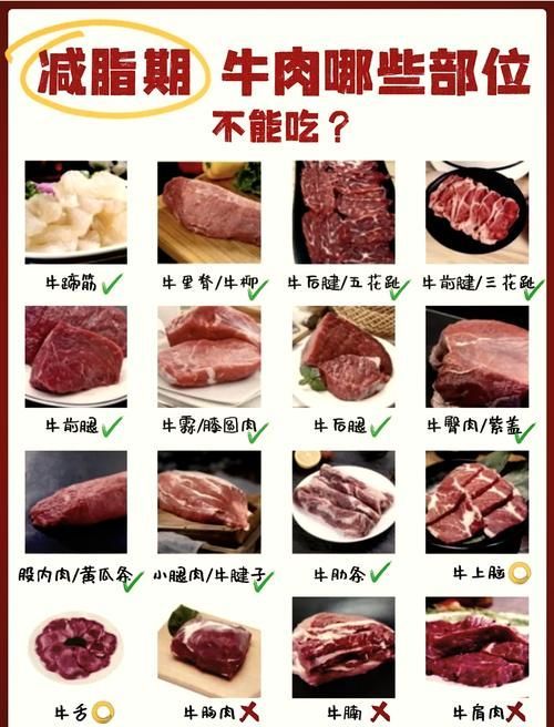 如何確保生牛肉的安全性，如何確保生牛肉安全生牛肉的安全性思考完成
