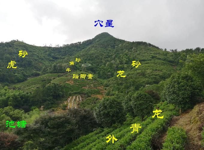 給我一些龍形地的風水圖片，風水學中龍形地的象征