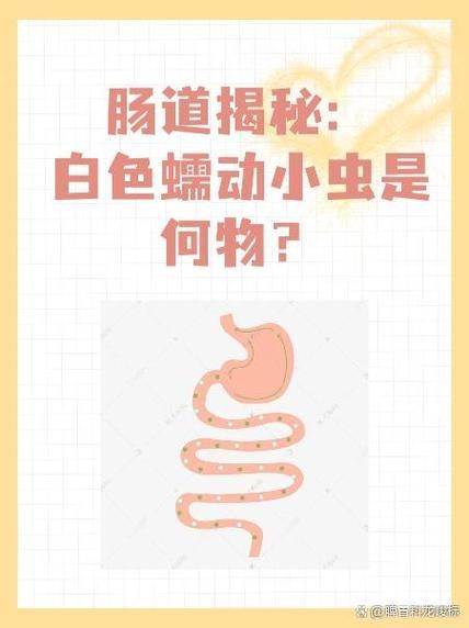 能提供一些預防龍魚腸道寄生蟲感染的圖片嗎,如何預防龍魚腸道寄生蟲感染? 龍魚百科 第7張 能提供一些預防龍魚腸道寄生蟲感染的圖片嗎,如何預防龍魚腸道寄生蟲感染? 能提供一些預防龍魚腸道寄生蟲感染的圖片嗎,如何預防龍魚腸道寄生蟲感染? 龍魚百科 第7張