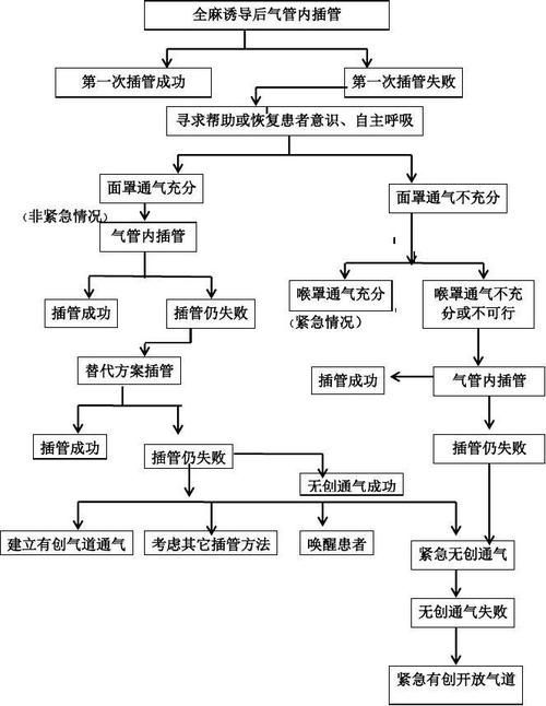 如何正確使用安定劑麻醉龍魚？，如何正確使用安定劑麻醉龍魚 如何正確使用安定劑麻醉龍魚？，如何正確使用安定劑麻醉龍魚 龍魚百科 第3張