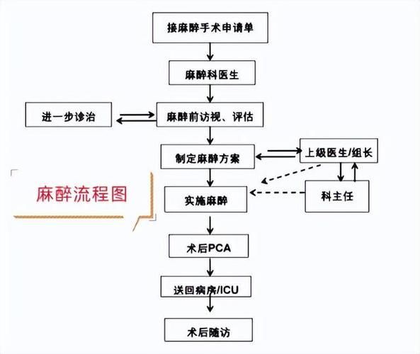 如何正確使用安定劑麻醉龍魚？，如何正確使用安定劑麻醉龍魚 如何正確使用安定劑麻醉龍魚？，如何正確使用安定劑麻醉龍魚 龍魚百科 第6張