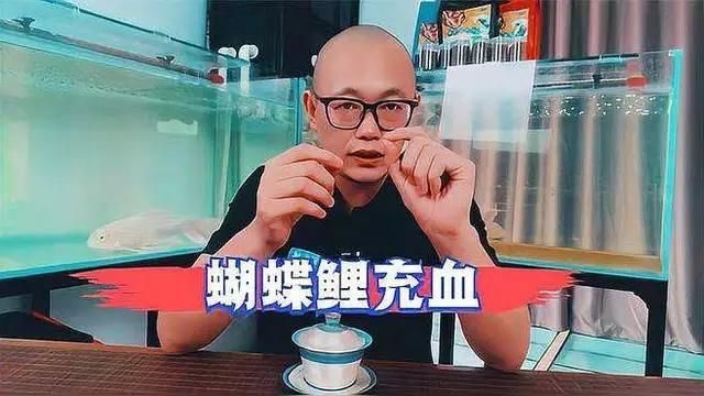 充血魚如何治療，充血魚的治療方法 充血魚如何治療，充血魚的治療方法 龍魚百科 第2張