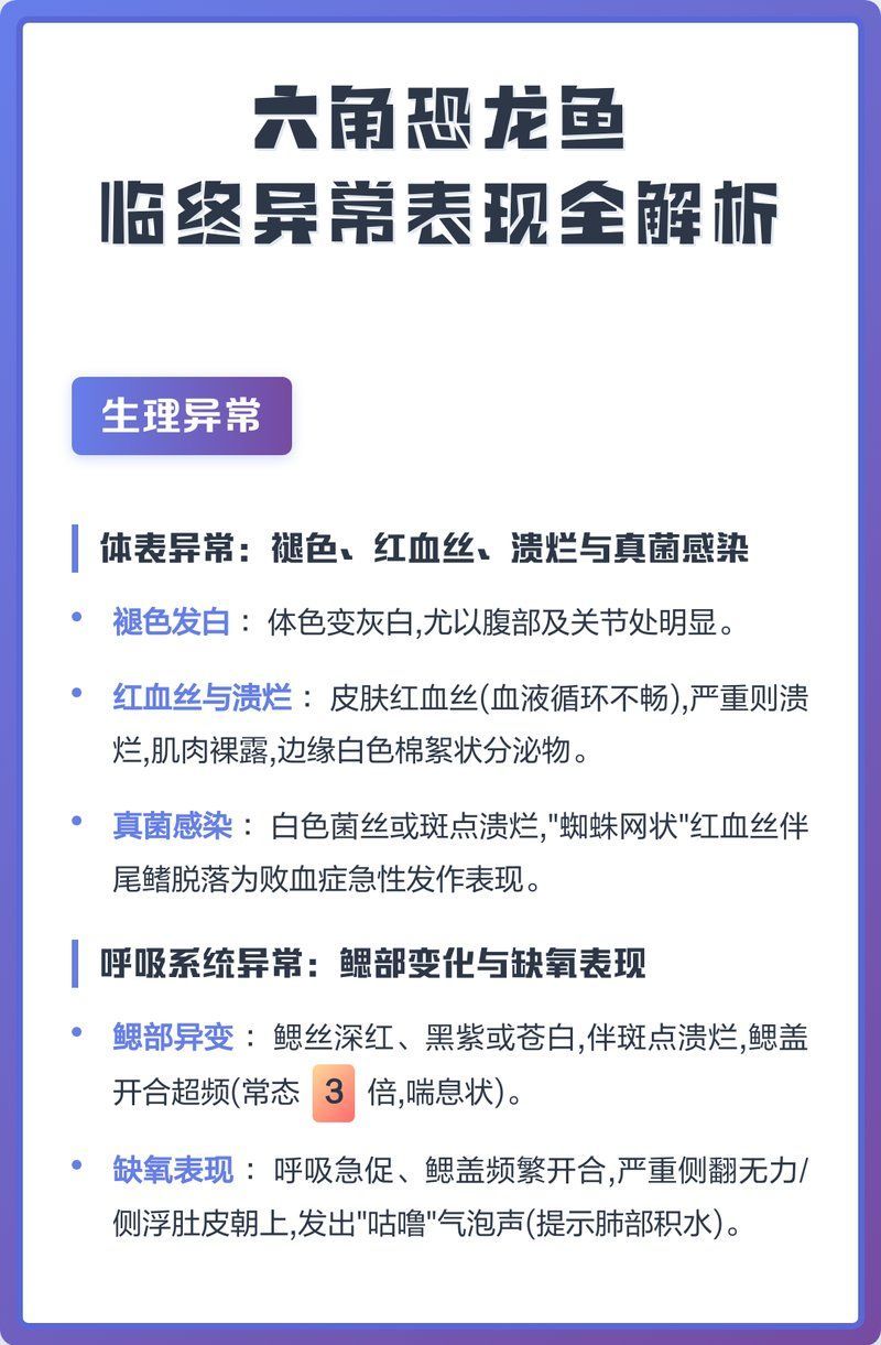 六角龍不打氧氣會生病嗎，六角龍不打氧氣會生病嗎, 六角龍不打氧氣會生病嗎，六角龍不打氧氣會生病嗎, 龍魚百科 第1張