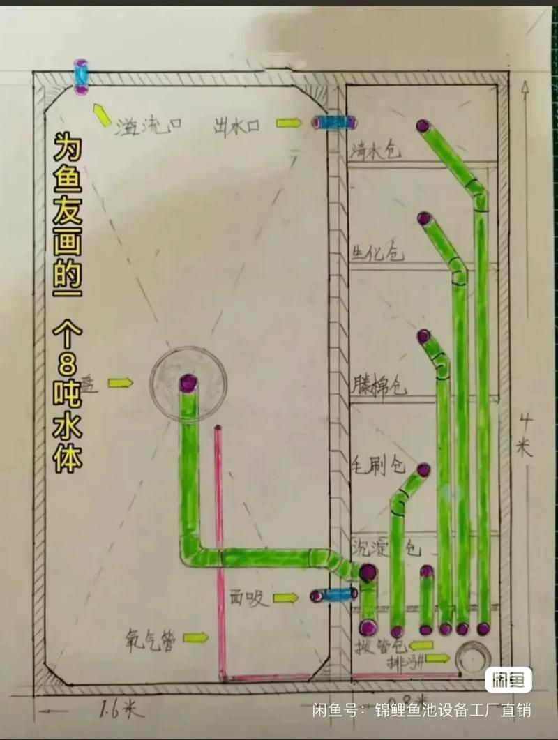 如何延長丹頂錦鯉的壽命？，如何延長丹頂錦鯉壽命 如何延長丹頂錦鯉的壽命？，如何延長丹頂錦鯉壽命 龍魚百科 第4張
