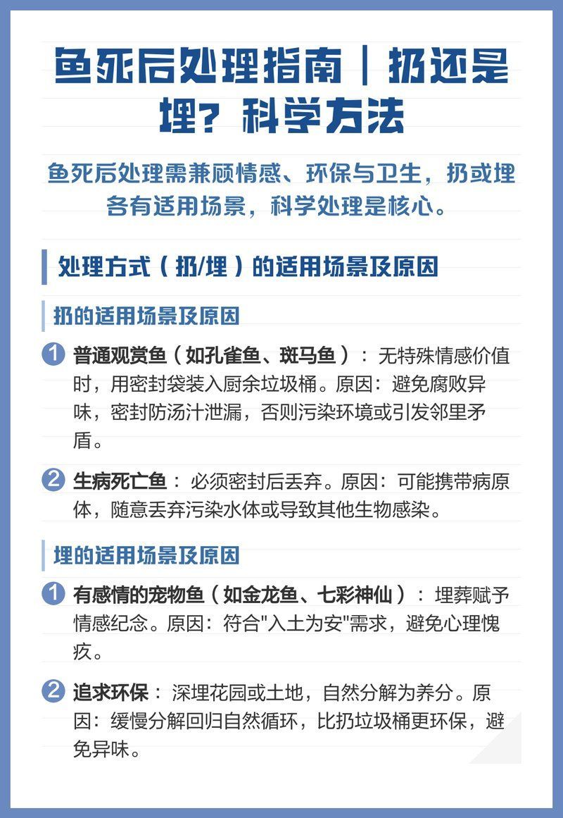 埋魚時需要注意哪些細節，————埋魚時需要注意哪些細節