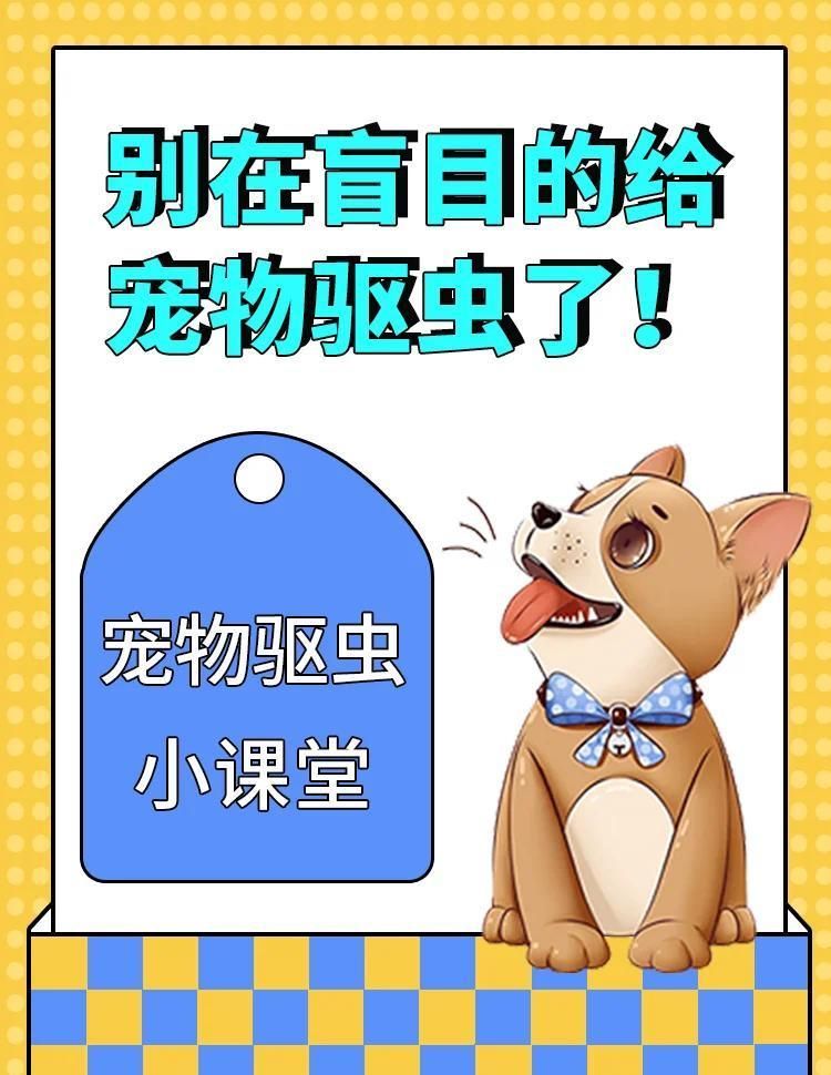 有哪些安全的外寄生蟲治療方法，寵物體外寄生蟲怎么治療 有哪些安全的外寄生蟲治療方法，寵物體外寄生蟲怎么治療 龍魚百科 第2張