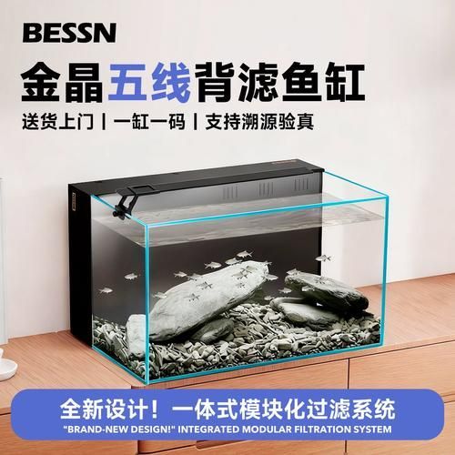 超白玻璃魚缸有哪些品牌推薦？，超白玻璃老牌魚缸有哪些品牌推薦 超白玻璃魚缸有哪些品牌推薦？，超白玻璃老牌魚缸有哪些品牌推薦 龍魚百科 第13張