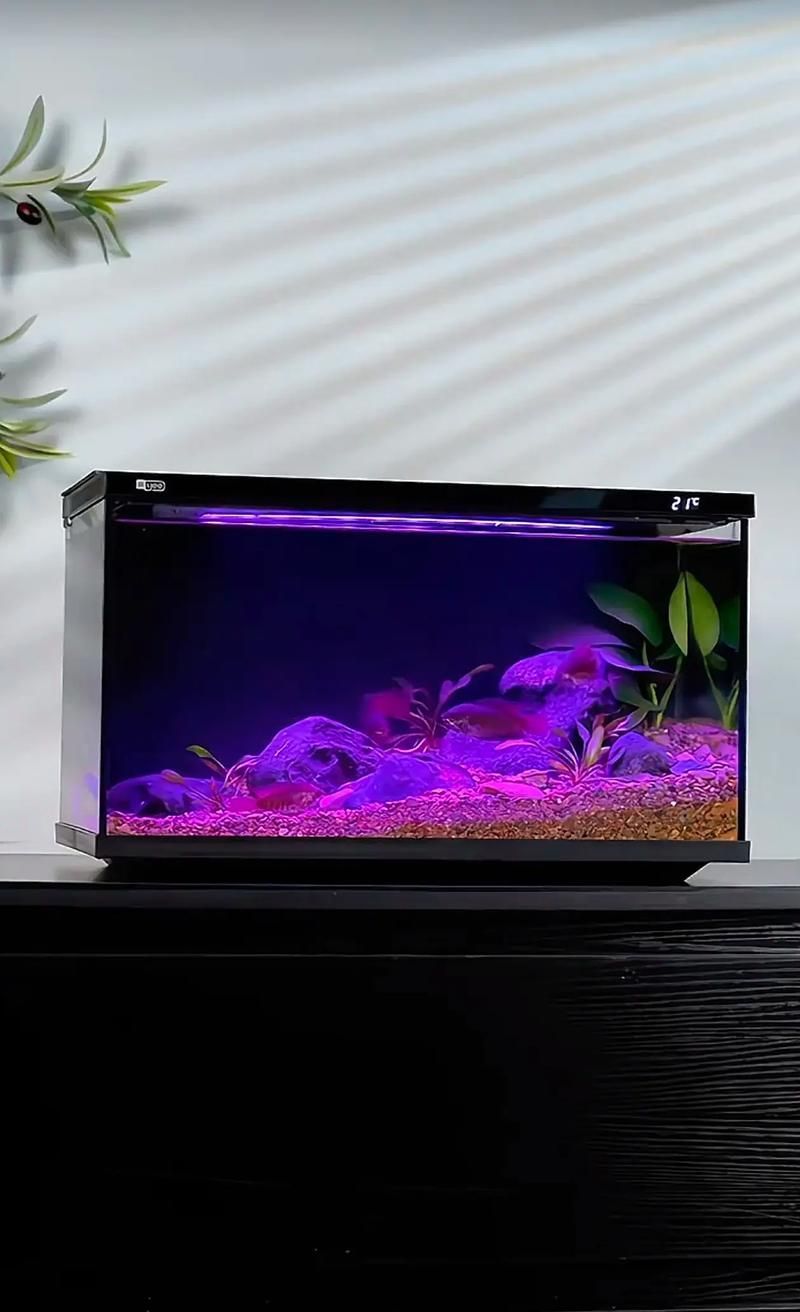 超白玻璃魚缸有哪些品牌推薦？，超白玻璃老牌魚缸有哪些品牌推薦 超白玻璃魚缸有哪些品牌推薦？，超白玻璃老牌魚缸有哪些品牌推薦 龍魚百科 第9張