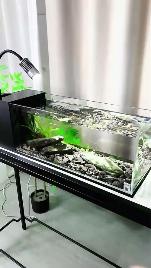 超白玻璃魚缸有哪些品牌推薦？，超白玻璃老牌魚缸有哪些品牌推薦 超白玻璃魚缸有哪些品牌推薦？，超白玻璃老牌魚缸有哪些品牌推薦 龍魚百科 第15張