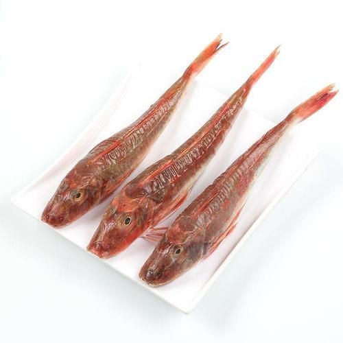 如何判斷紅頭魚是否新鮮，判斷紅頭魚是否新鮮是確保美味的關鍵，如何判斷紅頭魚是否新鮮