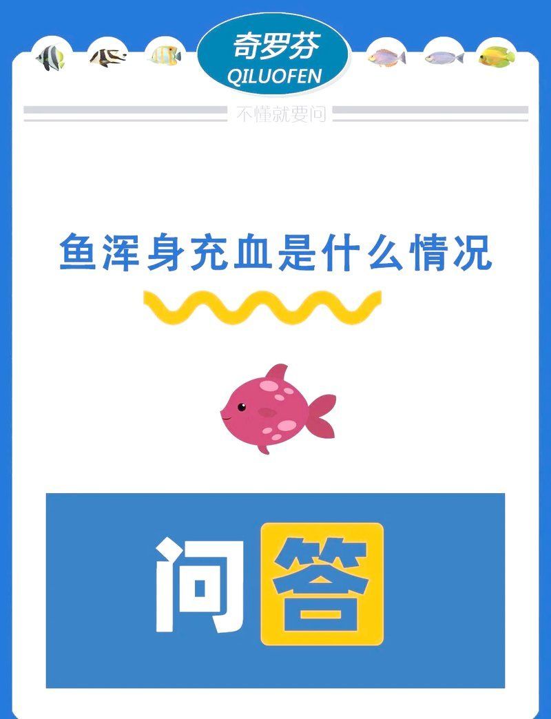 龍魚尾鰭充血，龍魚尾鰭充血治療期間需要禁食嗎？ 龍魚尾鰭充血，龍魚尾鰭充血治療期間需要禁食嗎？ 龍魚百科 第1張
