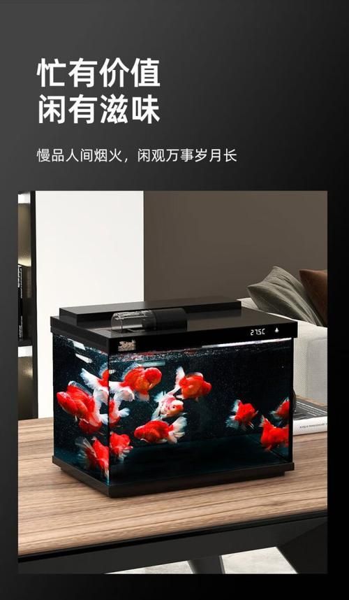 推薦幾款性價(jià)比高的森森魚缸，森森魚缸以高性價(jià)比高性價(jià)比高性價(jià)比高的森森魚缸推薦 推薦幾款性價(jià)比高的森森魚缸，森森魚缸以高性價(jià)比高性價(jià)比高性價(jià)比高的森森魚缸推薦 龍魚百科 第4張