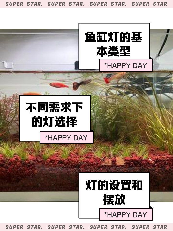 如何選擇適合魚缸的光源，如何選擇適合的魚缸光源 如何選擇適合魚缸的光源，如何選擇適合的魚缸光源 龍魚百科 第1張