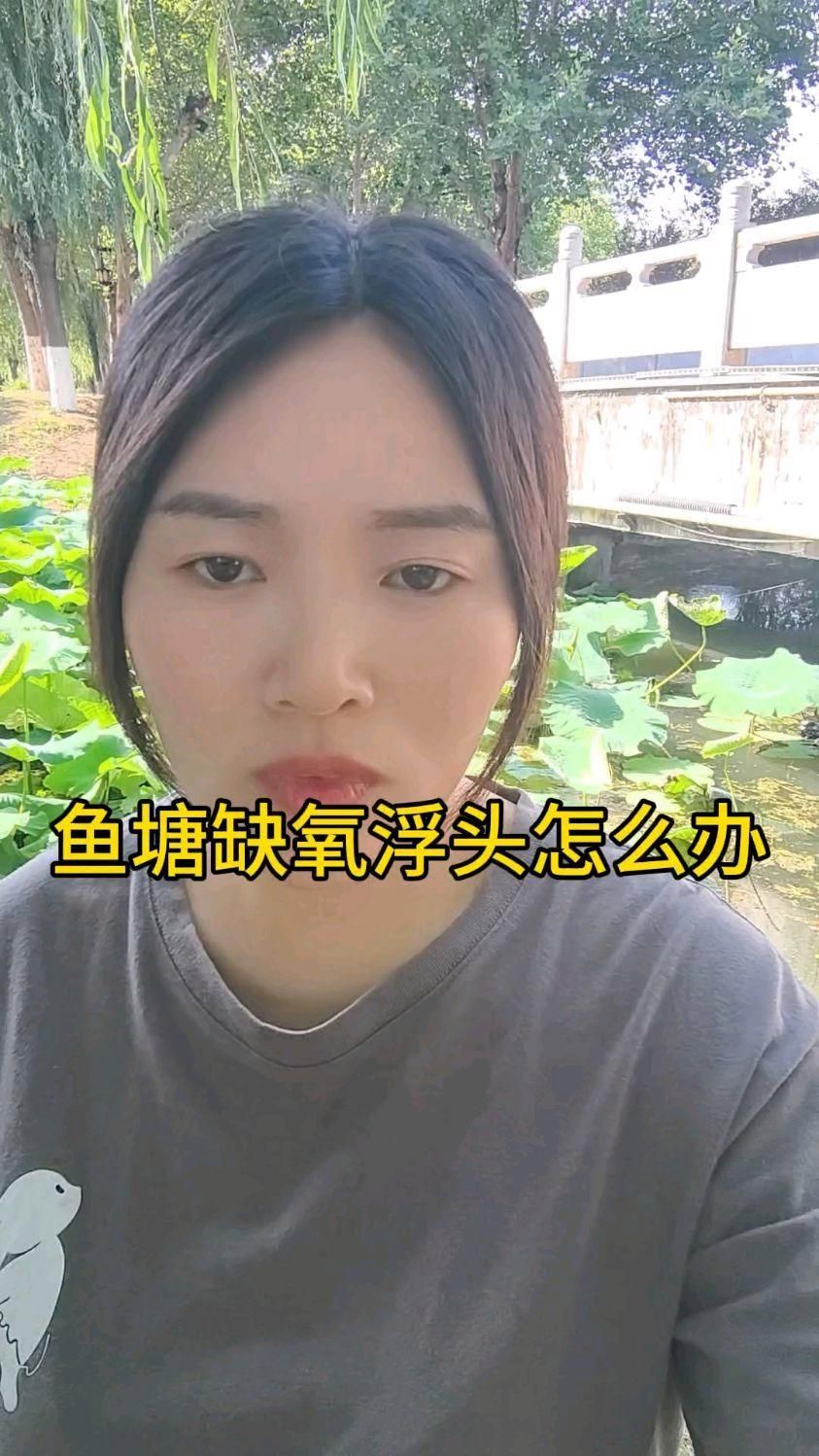 魚塘浮頭時如何緊急處理，冬日魚塘浮頭3招急救+預防材質溫度記憶 魚塘浮頭時如何緊急處理，冬日魚塘浮頭3招急救+預防材質溫度記憶 龍魚百科 第2張