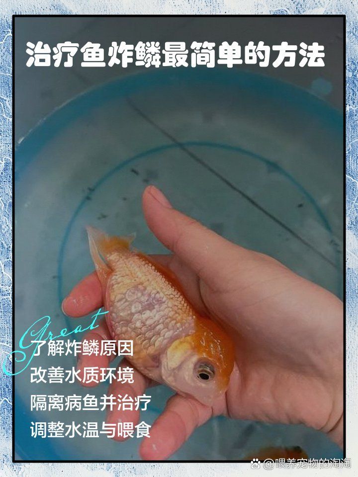 哪種藥物治療魚炸鱗最安全，哪種藥物治療魚炸鱗最安全，土霉素治療魚炸鱗需多久見效 哪種藥物治療魚炸鱗最安全，哪種藥物治療魚炸鱗最安全，土霉素治療魚炸鱗需多久見效 龍魚百科 第1張