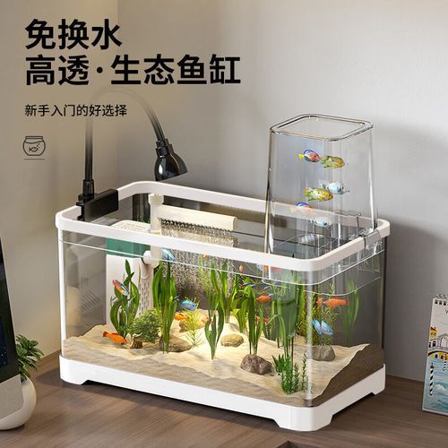 推薦幾款適合80公分金龍魚的魚缸，推薦幾款適合80公分金龍魚的魚缸，養殖80公分高的金龍魚 推薦幾款適合80公分金龍魚的魚缸，推薦幾款適合80公分金龍魚的魚缸，養殖80公分高的金龍魚 龍魚百科 第2張