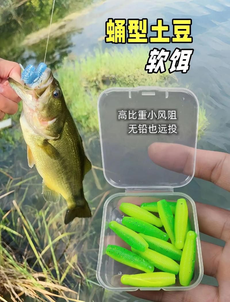 抓雷龍魚需要哪些技巧，抓雷龍魚有哪些技巧 抓雷龍魚需要哪些技巧，抓雷龍魚有哪些技巧 龍魚百科 第2張