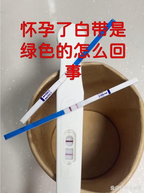 細(xì)菌感染型紅龍魚如何手術(shù)清理？，紅龍魚細(xì)菌感染型紅龍魚手術(shù)清理 細(xì)菌感染型紅龍魚如何手術(shù)清理？，紅龍魚細(xì)菌感染型紅龍魚手術(shù)清理 龍魚百科 第6張