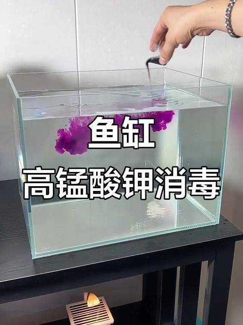 有哪些有效的魚缸細菌抑制劑，魚缸細菌抑制劑使用技術 有哪些有效的魚缸細菌抑制劑，魚缸細菌抑制劑使用技術 龍魚百科 第5張