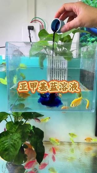 有哪些有效的魚缸細菌抑制劑，魚缸細菌抑制劑使用技術 有哪些有效的魚缸細菌抑制劑，魚缸細菌抑制劑使用技術 龍魚百科 第14張