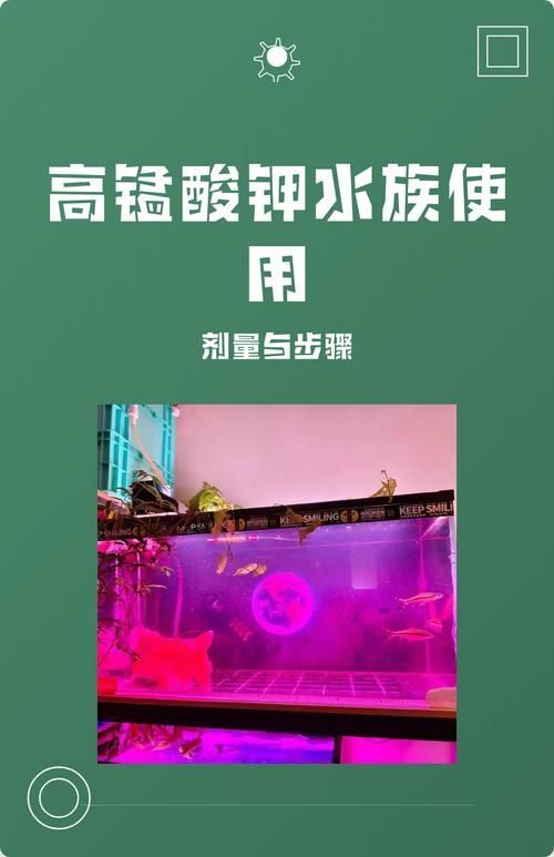 有哪些有效的魚缸細菌抑制劑，魚缸細菌抑制劑使用技術 有哪些有效的魚缸細菌抑制劑，魚缸細菌抑制劑使用技術 龍魚百科 第1張