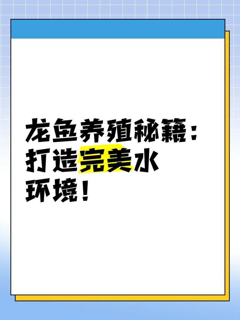 能給出更多預防龍魚病癥的建議嗎，養殖龍魚的注意事項 能給出更多預防龍魚病癥的建議嗎，養殖龍魚的注意事項 龍魚百科 第2張