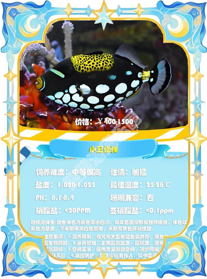 如何判斷安國龍魚的品質,如何判斷安國龍魚品質? 龍魚百科 第11張 如何判斷安國龍魚的品質,如何判斷安國龍魚品質? 如何判斷安國龍魚的品質,如何判斷安國龍魚品質? 龍魚百科 第11張