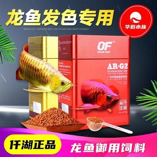 過背金龍飼料選擇，過背金龍飼料選擇詳解 過背金龍飼料選擇，過背金龍飼料選擇詳解 龍魚百科 第5張