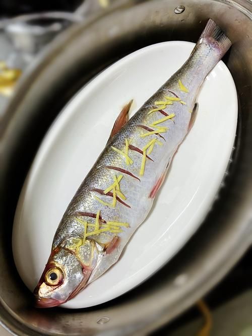 紅尾魚和翹嘴魚哪個更美味,紅尾魚和翹嘴魚哪個好吃 龍魚百科 第5張 紅尾魚和翹嘴魚哪個更美味,紅尾魚和翹嘴魚哪個好吃 紅尾魚和翹嘴魚哪個更美味,紅尾魚和翹嘴魚哪個好吃 龍魚百科 第5張