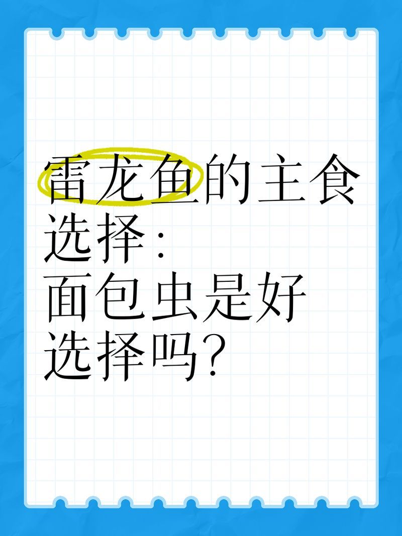 面包蟲對龍魚有哪些危害，面包蟲對龍魚有哪些危害， 面包蟲對龍魚有哪些危害，面包蟲對龍魚有哪些危害， 龍魚百科 第2張